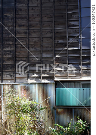 Board walls, tin walls and weeds in a casual landscape 100347421