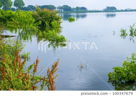 Watarase Reservoir Lake Yanaka near Omoide Bridge early summer scenery 100347679