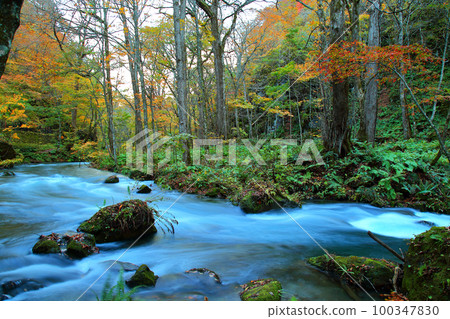 Oirase stream Oirase stream 100347830