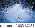 Mountain path in winter Mysterious footprints 100348284