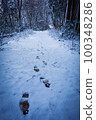 Mountain path in winter Mysterious footprints 100348286