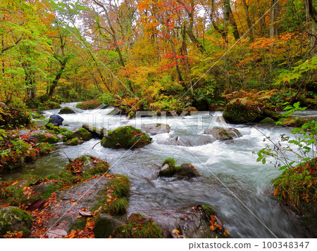 Oirase stream Oirase stream 100348347