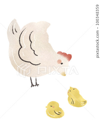 Illustration material of a cute chicken and chick in a watercolor style Illustration material of a cute chicken and chick in a watercolor style 100348359