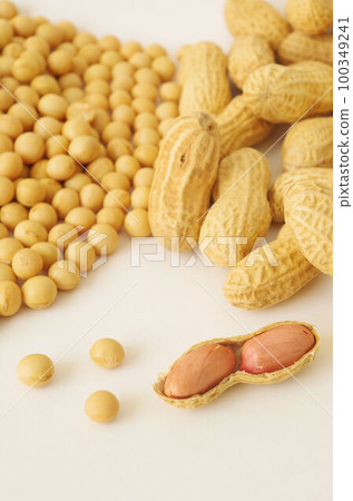 大豆和花生 100349241
