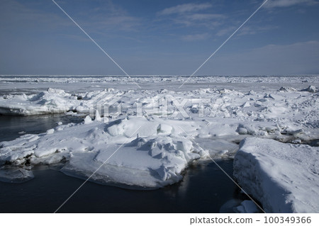 Ikushina Primeval Flower Garden 100349366