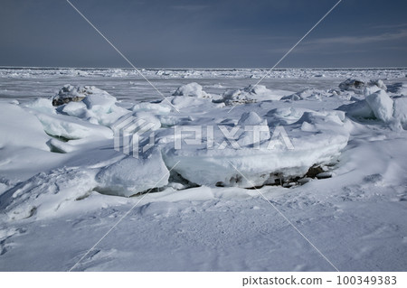 Ikushina Primeval Flower Garden 100349383