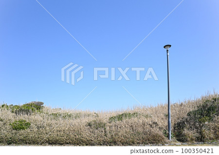 Scenery of Jogashima Park in Kanagawa Prefecture Scenery of Jogashima Park in Kanagawa Prefecture 100350421