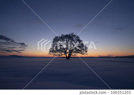 Harnile tree Harnile tree 100351203