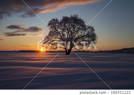 Harnile tree Harnile tree 100351222