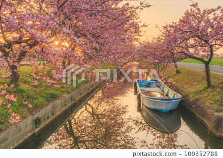 s松川津櫻路日出 s松川津櫻路日出 100352788