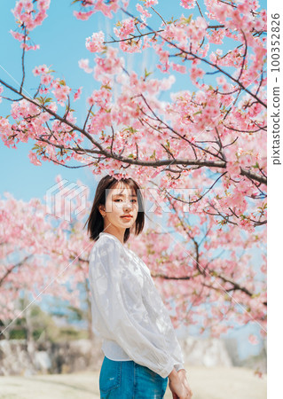 Cherry blossoms and a young woman Cherry blossoms and a young woman 100352826