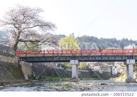 220412 中橋櫻 z013 100353522