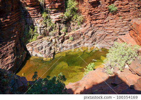 遊客在卡里吉尼國家公園的水坑里游泳 遊客在卡里吉尼國家公園的水坑里游泳 100354169
