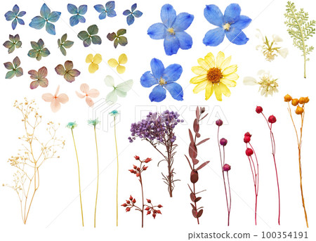 Material Set - Dried Flowers Material Set - Dried Flowers 100354191