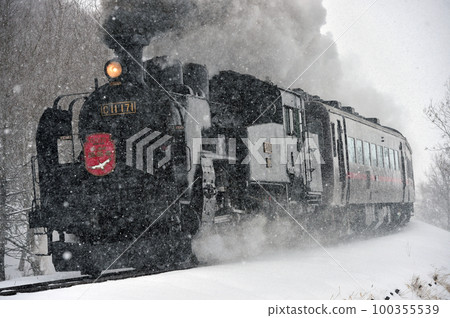 Senmo Main Line Toya - 釧路濕原 JR 北海道 C11-171 + Series 14 + Suhashi 44 SL Fuyu no Shitsugen 100355539