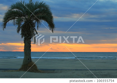 房總半島九十九里海水浴場的日出 房總半島九十九里海水浴場的日出 100355754