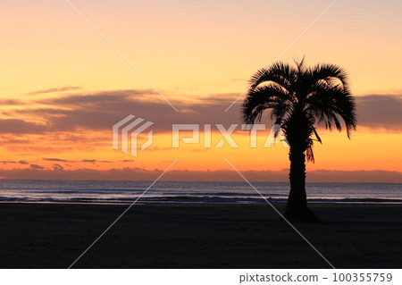 房總半島九十九里海水浴場的日出 房總半島九十九里海水浴場的日出 100355759