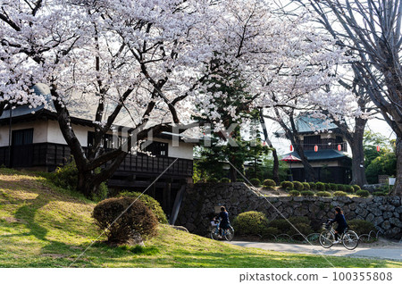 諏訪市高島城內盛開的櫻花 諏訪市高島城內盛開的櫻花 100355808