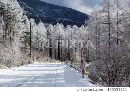 新雪覆蓋的森林公路和森林風光 新雪覆蓋的森林公路和森林風光 100355811
