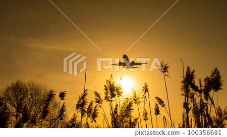View from the ground on a flying plane at sunset. View from the ground on a flying plane at sunset. 100356691