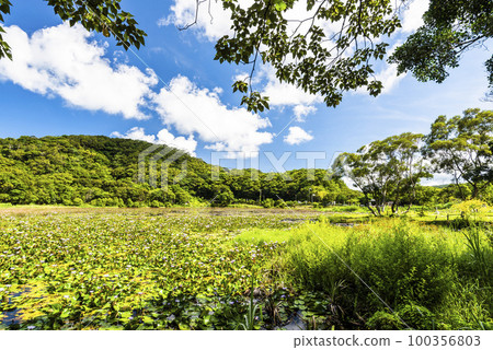 Beautiful Dongyuan Wetland Park in Pingtung, Taiwan. Beautiful Dongyuan Wetland Park in Pingtung, Taiwan. 100356803