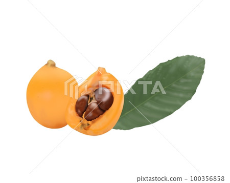 Loquat with leaves Loquat with leaves 100356858