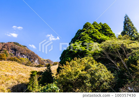 Takamori-dono雪松[小森阿蘇郡高森町] 100357430