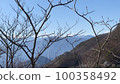 Southern Alps from Koshu Irohazaka 100358492