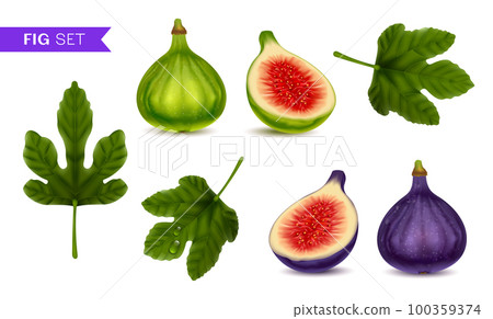 Figs Realistic Set Figs Realistic Set 100359374