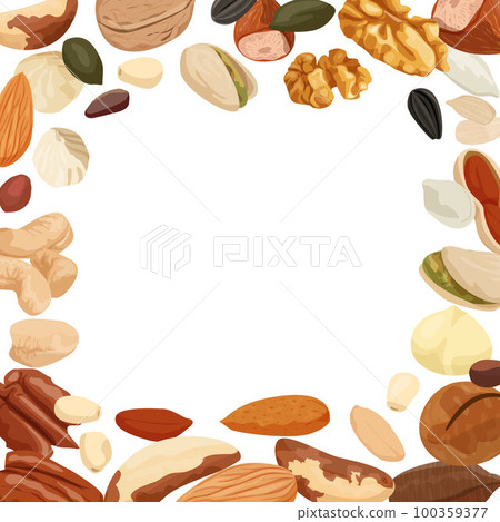 Nuts Seeds Frame Composition Nuts Seeds Frame Composition 100359377