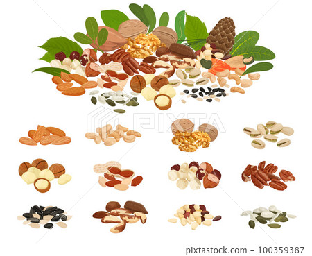 Nuts Seeds Pile Set Nuts Seeds Pile Set 100359387