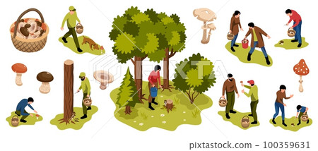 Forest Mushroom Pickers Set 100359631