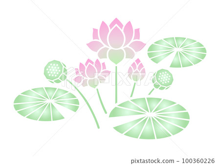 lotus flower color lotus flower color 100360226