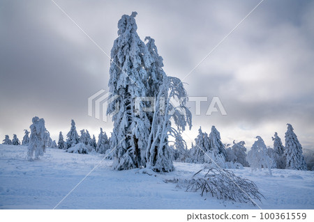 Kahler Asten, Sauerland, Germany Kahler Asten, Sauerland, Germany 100361559