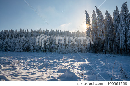 Kahler Asten, Sauerland, Germany 100361568