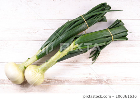 Leaves onion 100361636