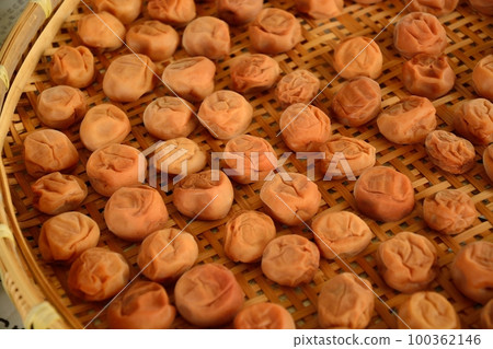 Umeboshi making while drying in the sun Umeboshi making while drying in the sun 100362146
