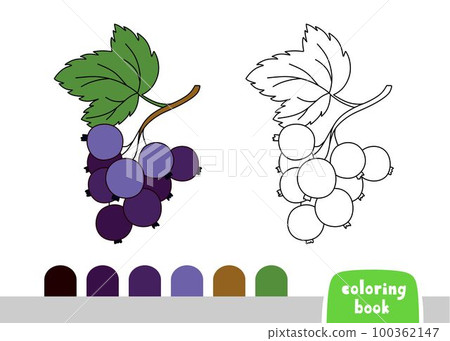 Coloring Book for Children Black Currant Page for books Magazines Coloring Vector Illustration 100362147