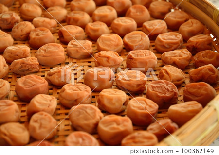 Umeboshi making while drying in the sun 100362149