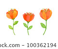 Watercolor illustration of flowers 100362194