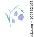 Watercolor illustration of flowers 100362195