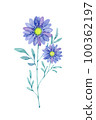 Watercolor illustration of flowers 100362197
