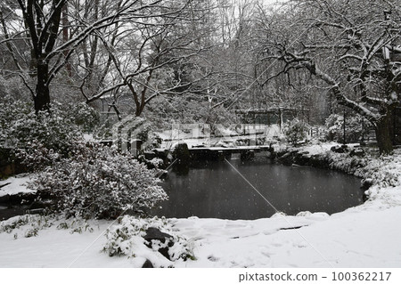 花園裡積雪 100362217