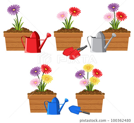 Set of colourful flowers in pots 100362480