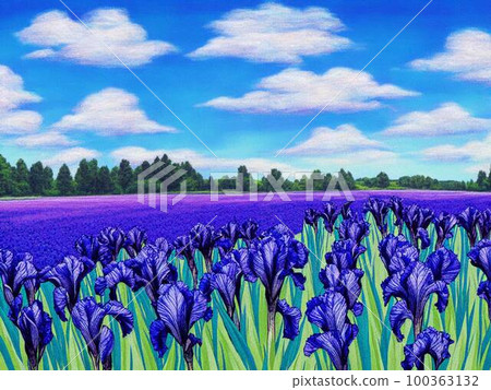 Iris garden, blue flowers, AI illustration 100363132