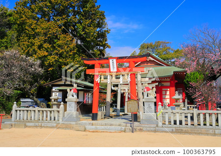 [Yamaguchi Prefecture] Iminomiya Shrine in Chofu with fine weather 100363795
