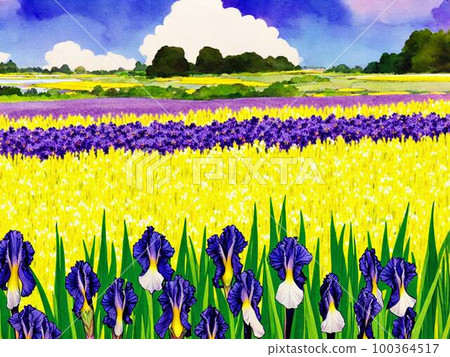 Iris garden, blue flowers, AI illustration Iris garden, blue flowers, AI illustration 100364517