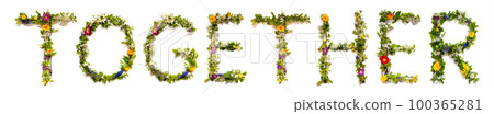 Blooming Flower Letters Building English Word Together Blooming Flower Letters Building English Word Together 100365281