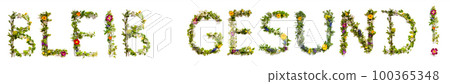 Blooming Flower Letters Building German Word Bleib Gesund Means Stay Healthy 100365348