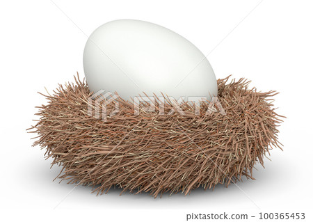 Farm raw organic white sugar-coated eggs bird nest isolated on white background 100365453